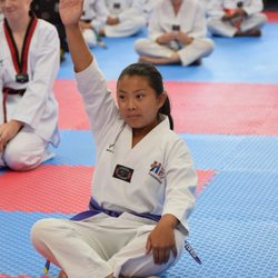 Hi5 Taekwondo - Granite Bay - Question test