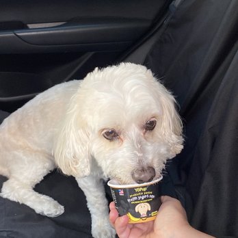 Yes Yogurt - Yum yum yum - Ice Cream & Frozen Yogurt Near Me - Morgan Hill, California