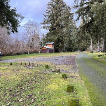 Rain Forest Resort Village - Rain Forest Resort Village - only 2 of us that night. - Campgrounds Near Me - Quinault, Washington Rain Forest Resort Village - Rain Forest Resort Village - only 2 of us that night. - Campgrounds Near Me - Quinault, Washington