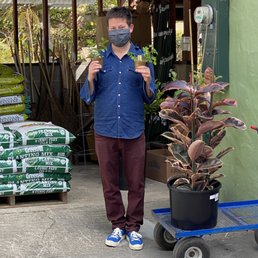 A boy and his tree (and herbs)