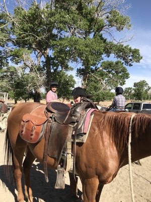 Zapata Ranch by null