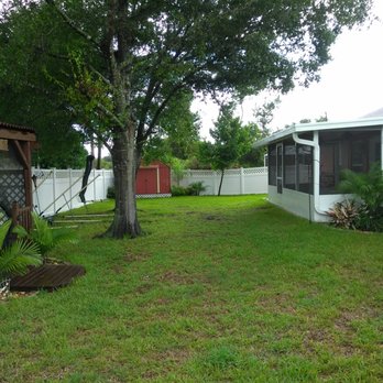TruGreen Lawn Care - Tree Services Near Me - Daytona Beach, Florida TruGreen Lawn Care - Tree Services Near Me - Daytona Beach, Florida