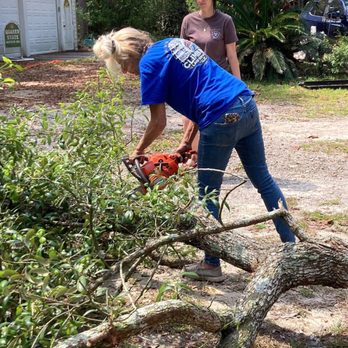 Climbers Land Services - Tree Services Near Me - Morriston, Florida Climbers Land Services - Tree Services Near Me - Morriston, Florida