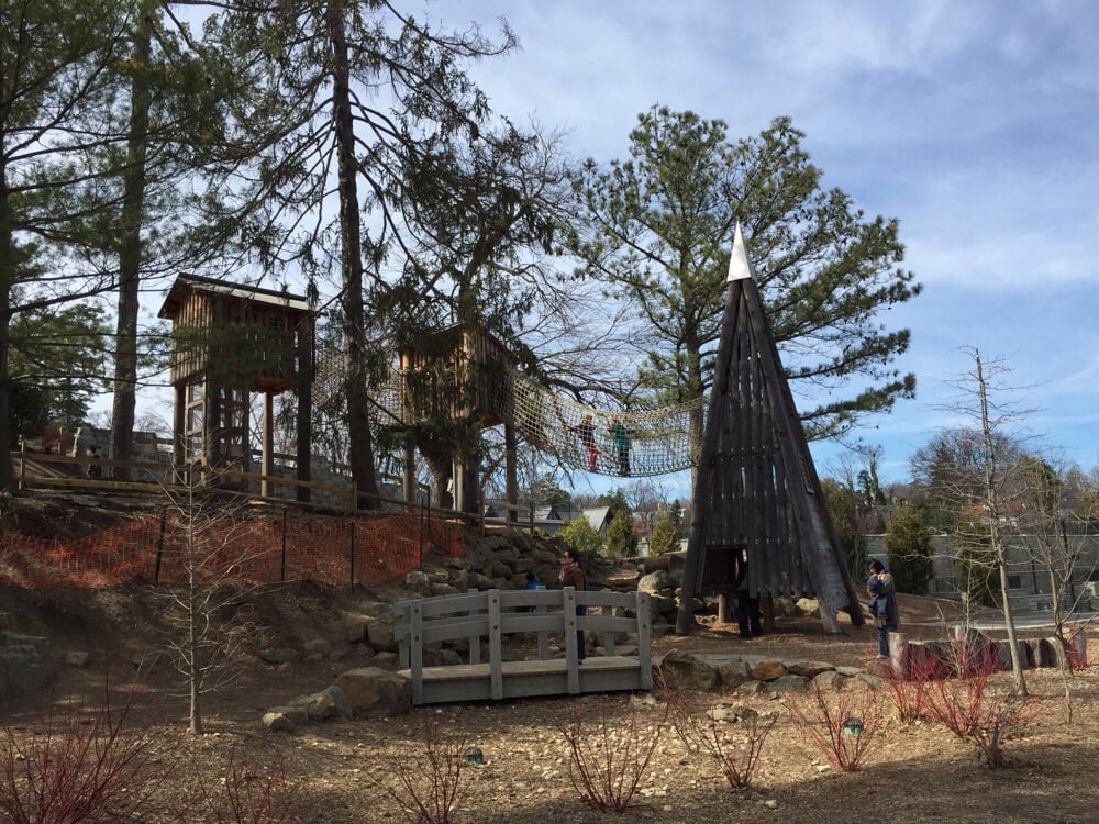 Beauvoir National Cathedral Elementary School - Swimming Pool