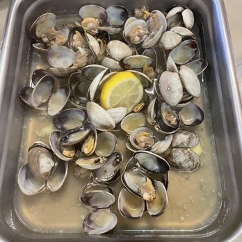 Jandy Oyster - Manila clams from up the road - Seafood Markets Near Me - Tillamook, Oregon