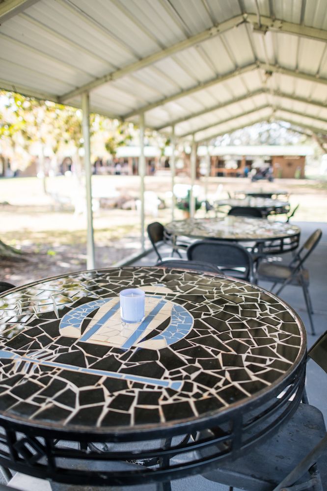 Stargate Stables - equestrian in Morriston, FL