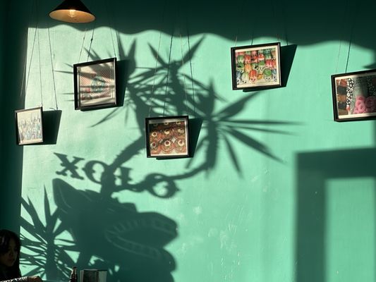 Xolo Taqueria by null