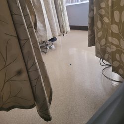 Kern Medical - The underwear the mouse just happened to be in before he took off woth them