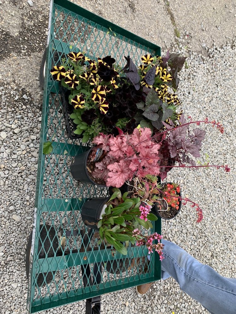 PRESTON GREENHOUSE & GARDEN CENTER Updated September 2024 47 Photos