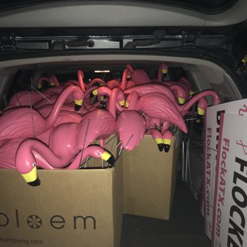 FlockATX - Packed up for multiple flockings! - Party & Event Planning Near Me