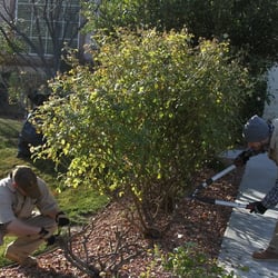 Dembois Landscape - Landscape Maintenance