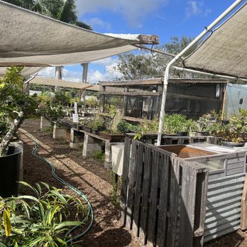 Marando Farms & Ranch - Farmers Market Near Me - Davie, Florida