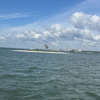 Fins Up Clearwater - One Tree Island - Boat Tours Near Me - Tampa Bay, Florida