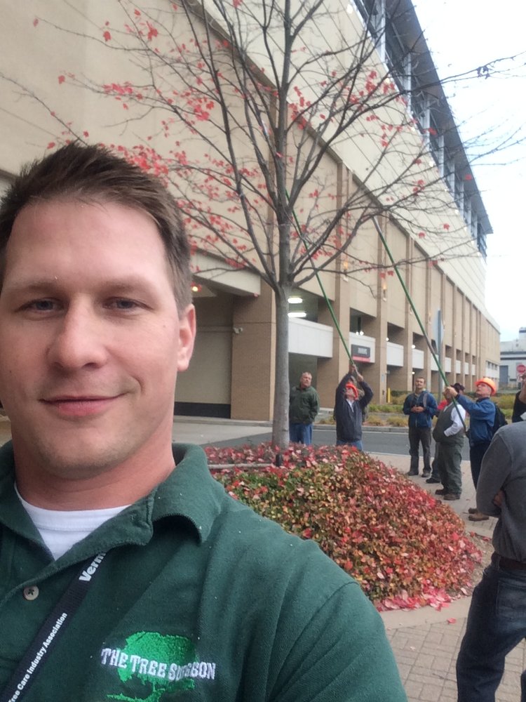 The Tree Surgeon - tree service in Orchard Park, NY