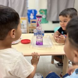 Koala Tree Montessori