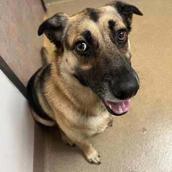 Pasternak Veterinary Center - Veterinarians Near Me - Los Angeles, California