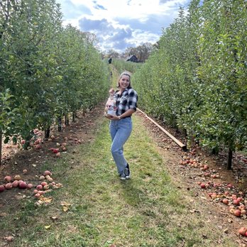 Mercier Orchards - Bakeries Near Me - Blue Ridge, Georgia