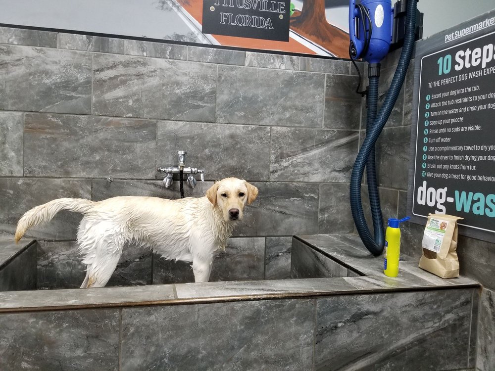 Pet Supermarket Image