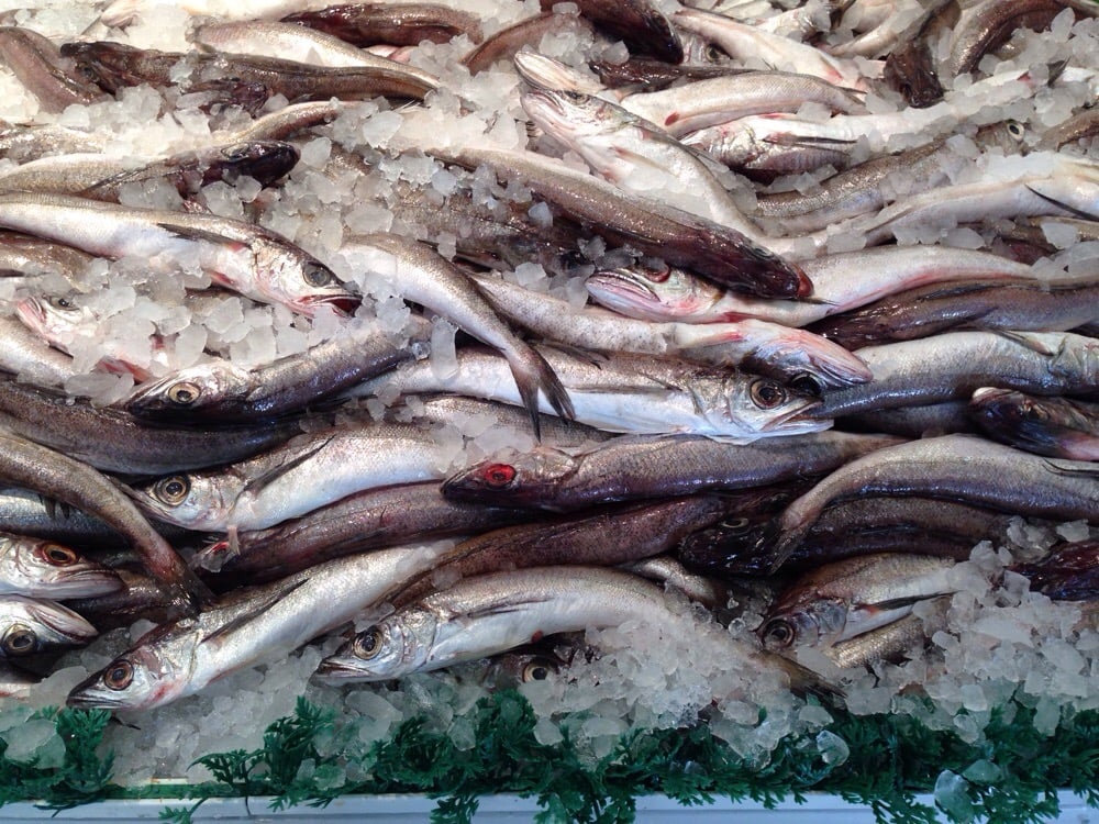 PATERSON SEAFOOD & MEAT CENTER Updated September 2024 711 Fair St