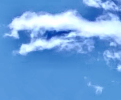 Peregrine Wines by null