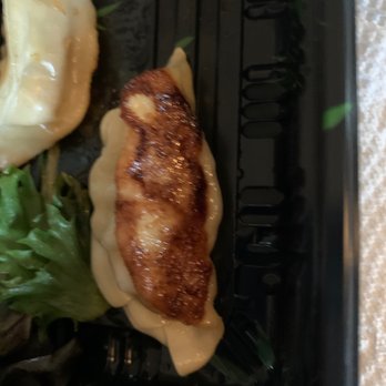 Kiku Sushi - Overly burned Gyoza soaked in oil. - Sushi Bars Near Me - Brooklyn, New York