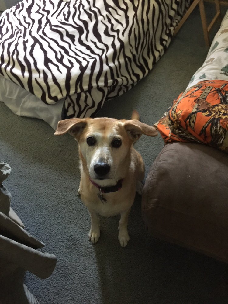 NORTH FRANKLIN VETERINARY SERVICES Updated August 2024 6155 State