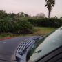 Photo of Darryl Hamilton Tree Service
