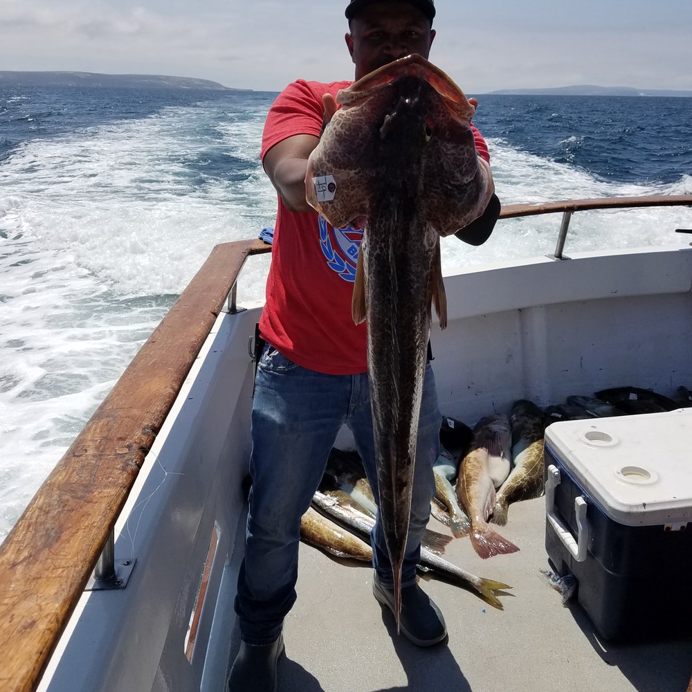 Amigo Sportfishing - Nice lingcod - Fishing Near Me - San Pedro, California