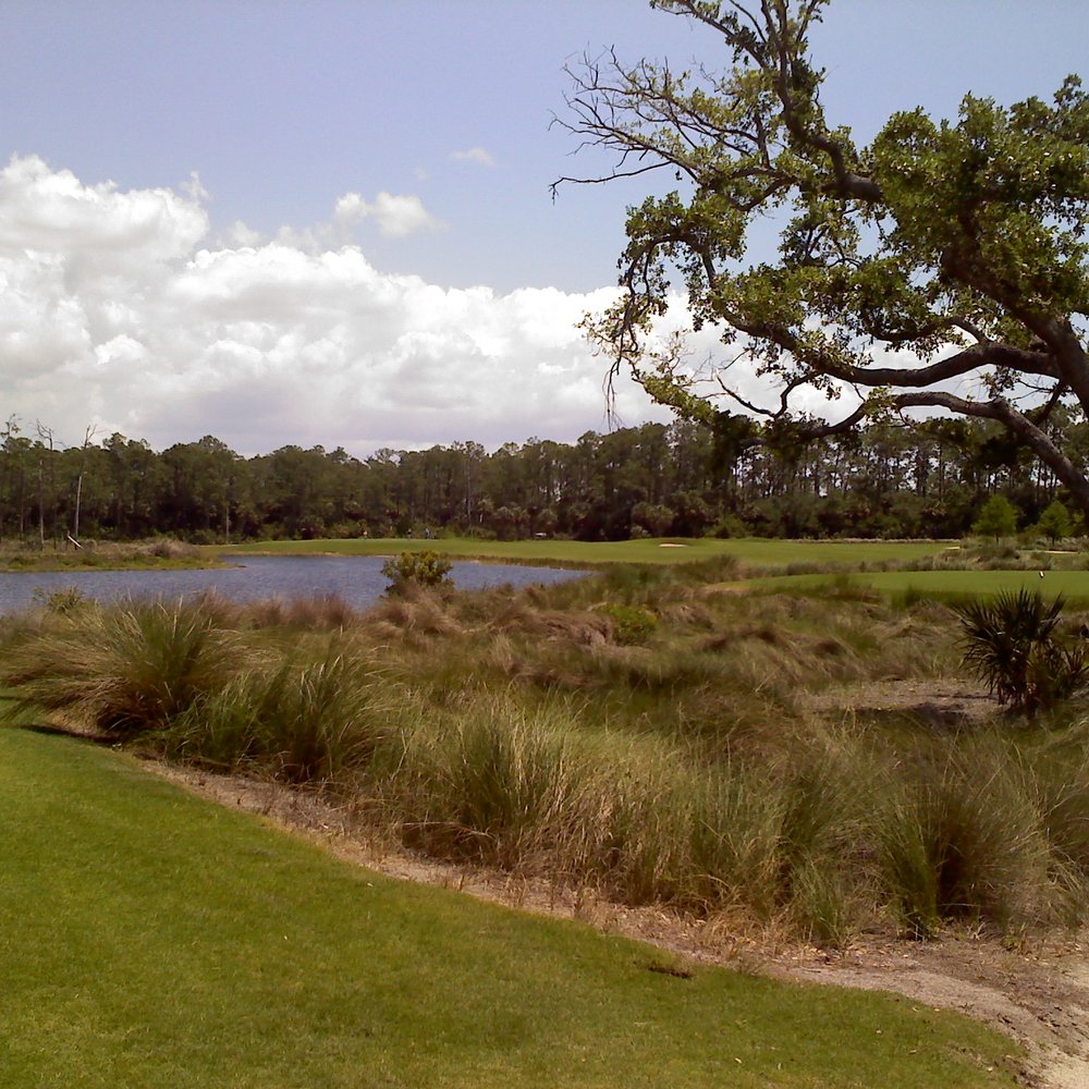 TPC Treviso Bay - Golf Near Me - Naples, Florida