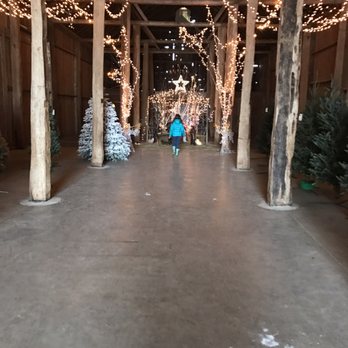 Schilter Family Farm - The barn with the nativity scene... she loves it. - Pumpkin Patches Near Me - Lacey, Washington Schilter Family Farm - The barn with the nativity scene... she loves it. - Pumpkin Patches Near Me - Lacey, Washington