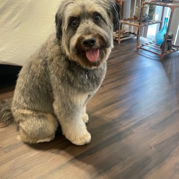Barkin' Creek - Lamar - Pet Groomers Near Me - Austin, Texas