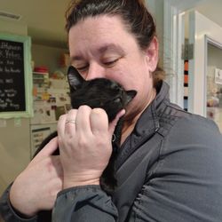 FieldHaven Feline Center - Jessiey (RVT) & Orage on spay day