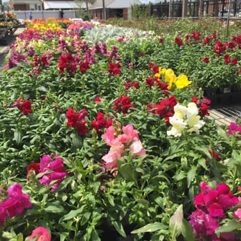 Vince's Farm and Nursery - Nurseries & Gardening Near Me - Linthicum Heights, Maryland