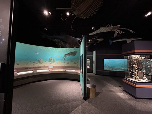 Mountain America Museum of Ancient Life at Thanksgiving Point by null