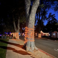 Laurie Strode Halloween House - The trees on the end of the street Oxley & Diamond are all decorated in Orange Lights. Laurie Strode's House from Halloween in Pasadena.