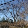Photo of LER Garden & Tree Care