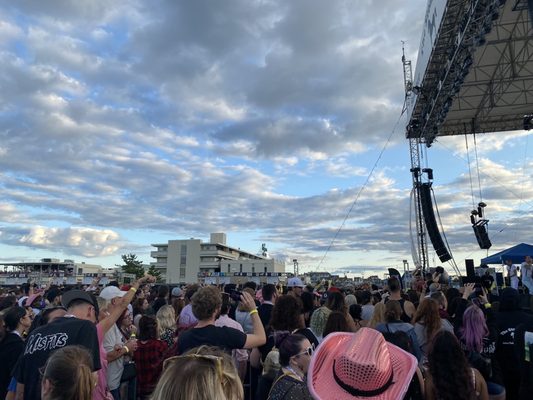 The Stone Pony by null