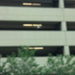 Armadillo Auto Glass 95 Reviews Auto Glass Services 3510 Guadalupe St Austin Tx United States Phone Number Yelp