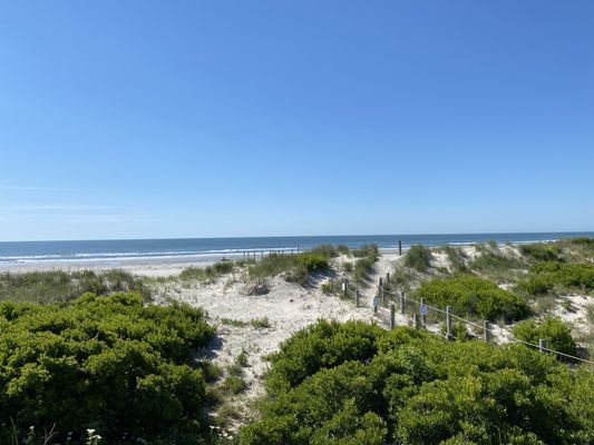 Cape May National Wildlife Refuge by null