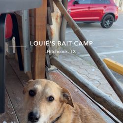 Louis' Bait Camp & Restaurant - Mochi on the patio
