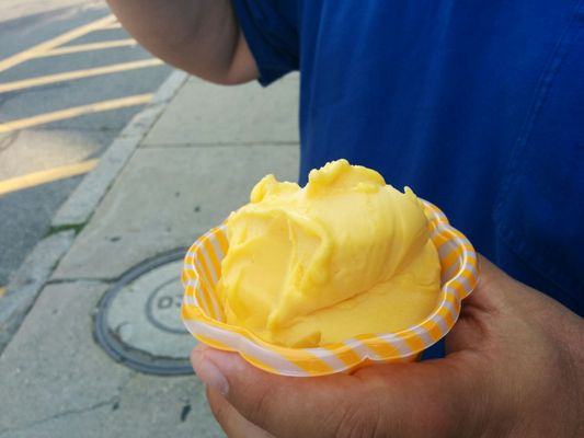 Robin's Nest by null