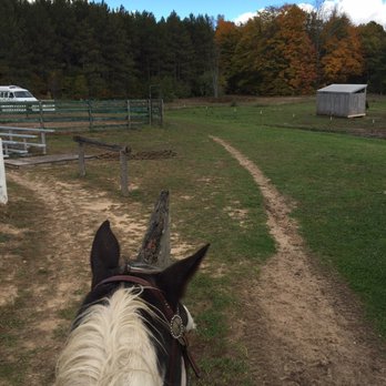 Maple Ridge Stables - Annie and the start of our trail - Horseback Riding Near Me - Vanderbilt, Michigan