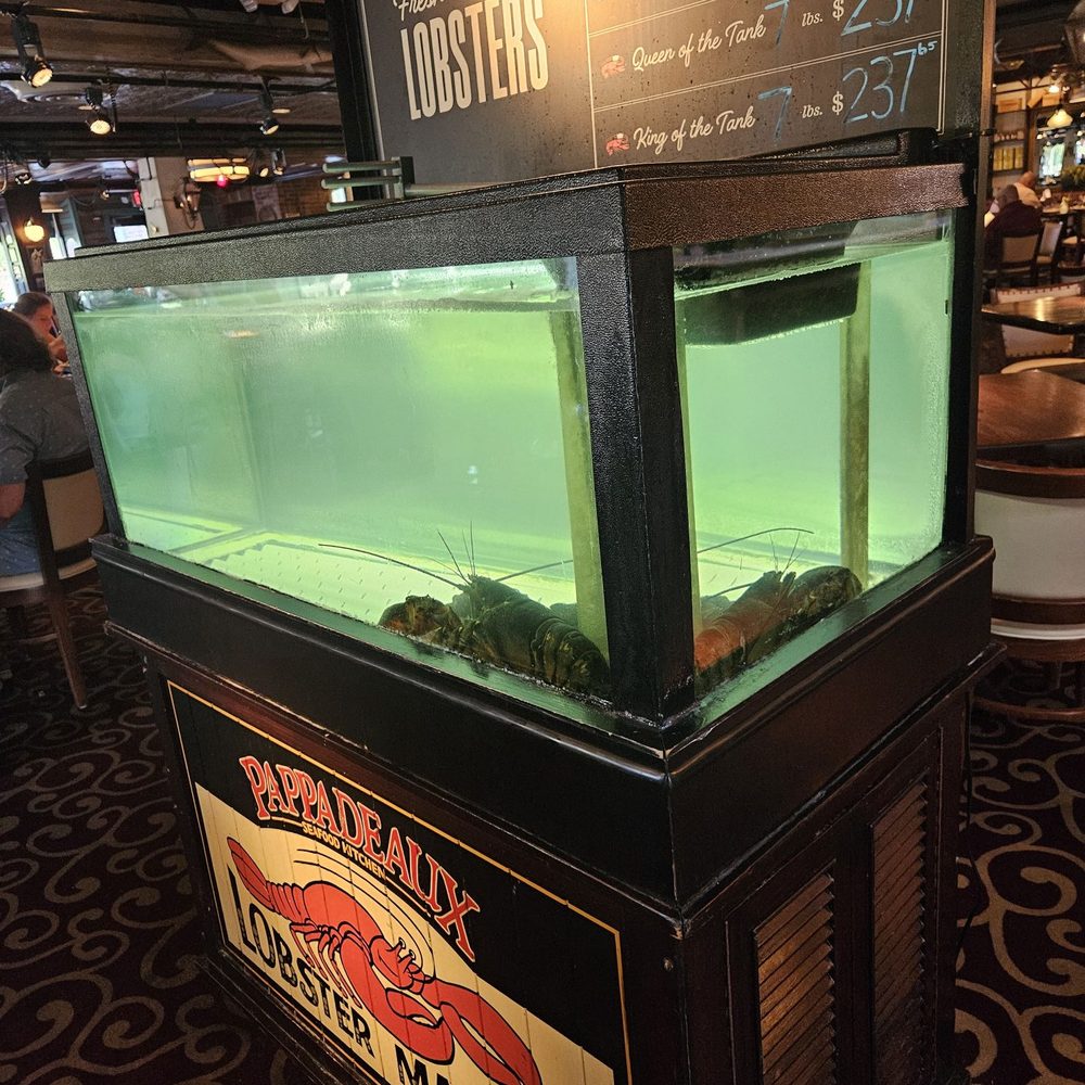 Pappadeaux Seafood Kitchen - Cajun/Creole Near Me - Westmont, Illinois