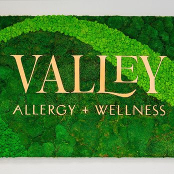 Valley Allergy + Wellness - The beautiful live moss plant in Deborah Chan's office - Naturopathic/Holistic Near Me - Stockton, California Valley Allergy + Wellness - The beautiful live moss plant in Deborah Chan's office - Naturopathic/Holistic Near Me - Stockton, California