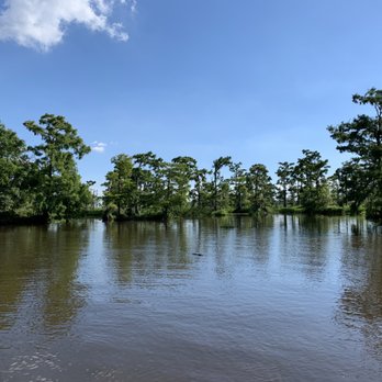 Airboat Adventures - The swamps - Boat Tours Near Me - Lafitte, Louisiana Airboat Adventures - The swamps - Boat Tours Near Me - Lafitte, Louisiana