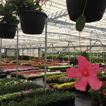Perennials Plus - Nurseries & Gardening Near Me - Westfield, Indiana