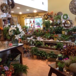Flower and plant arrangements.