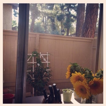 Sutton Place - Beautiful view no matter what apartment you're in - Apartments Near Me - Westminster, California Sutton Place - Beautiful view no matter what apartment you're in - Apartments Near Me - Westminster, California