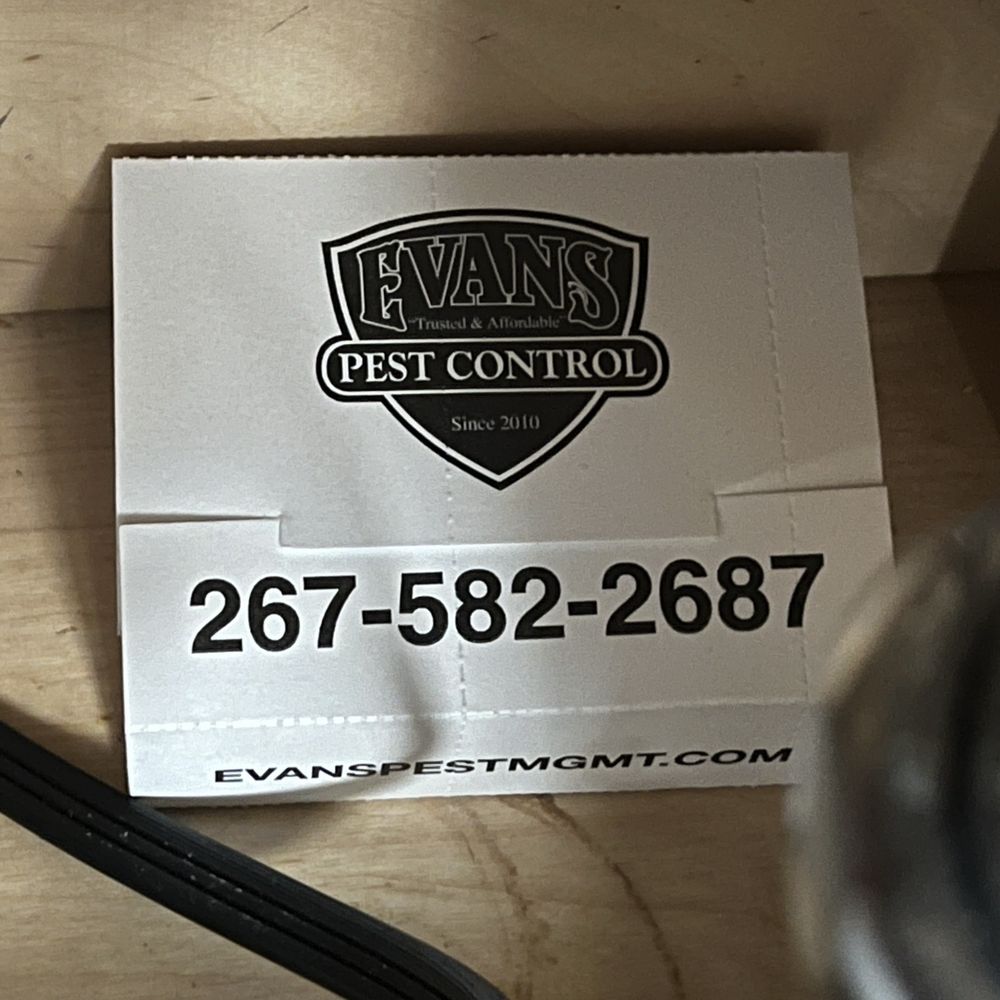 Evans Pest Control - Glue Board in cabinet under the sink - Pest Control Near Me - Philadelphia, Pennsylvania Evans Pest Control - Glue Board in cabinet under the sink - Pest Control Near Me - Philadelphia, Pennsylvania