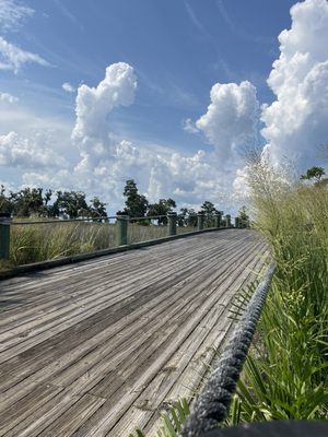 The King and Prince Beach & Golf Resort by null